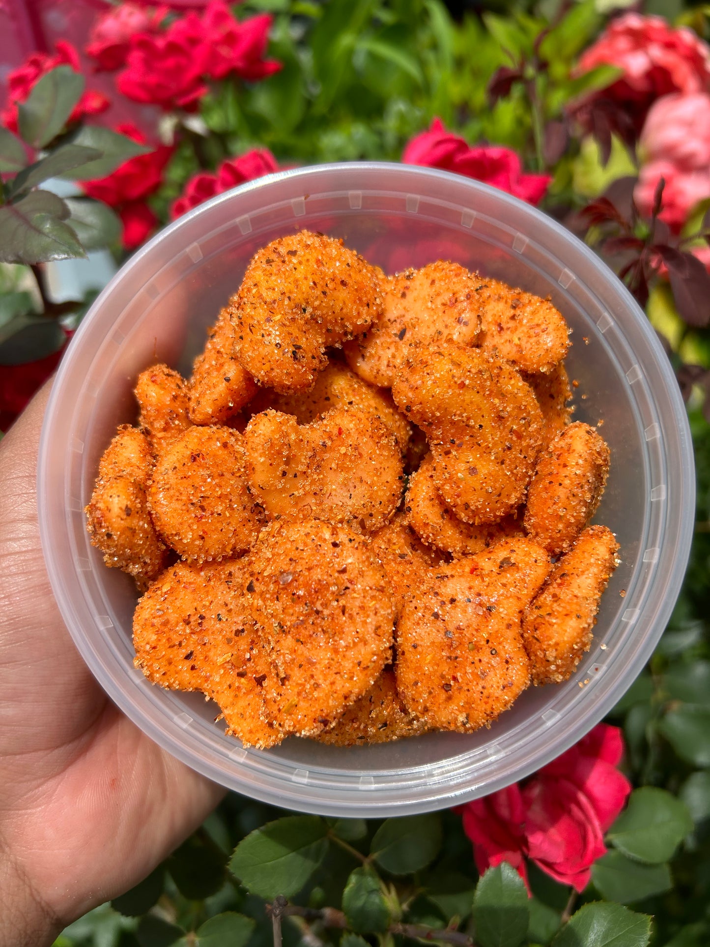 Manguitos