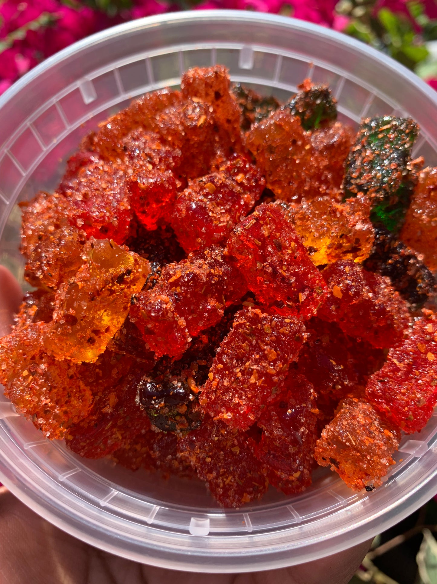 Ositos (gummy bears)