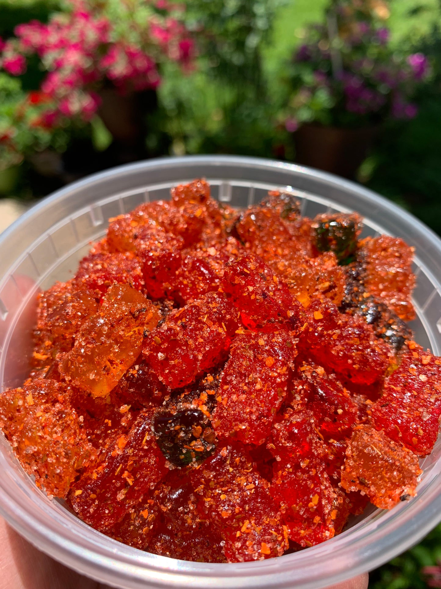 Ositos (gummy bears)